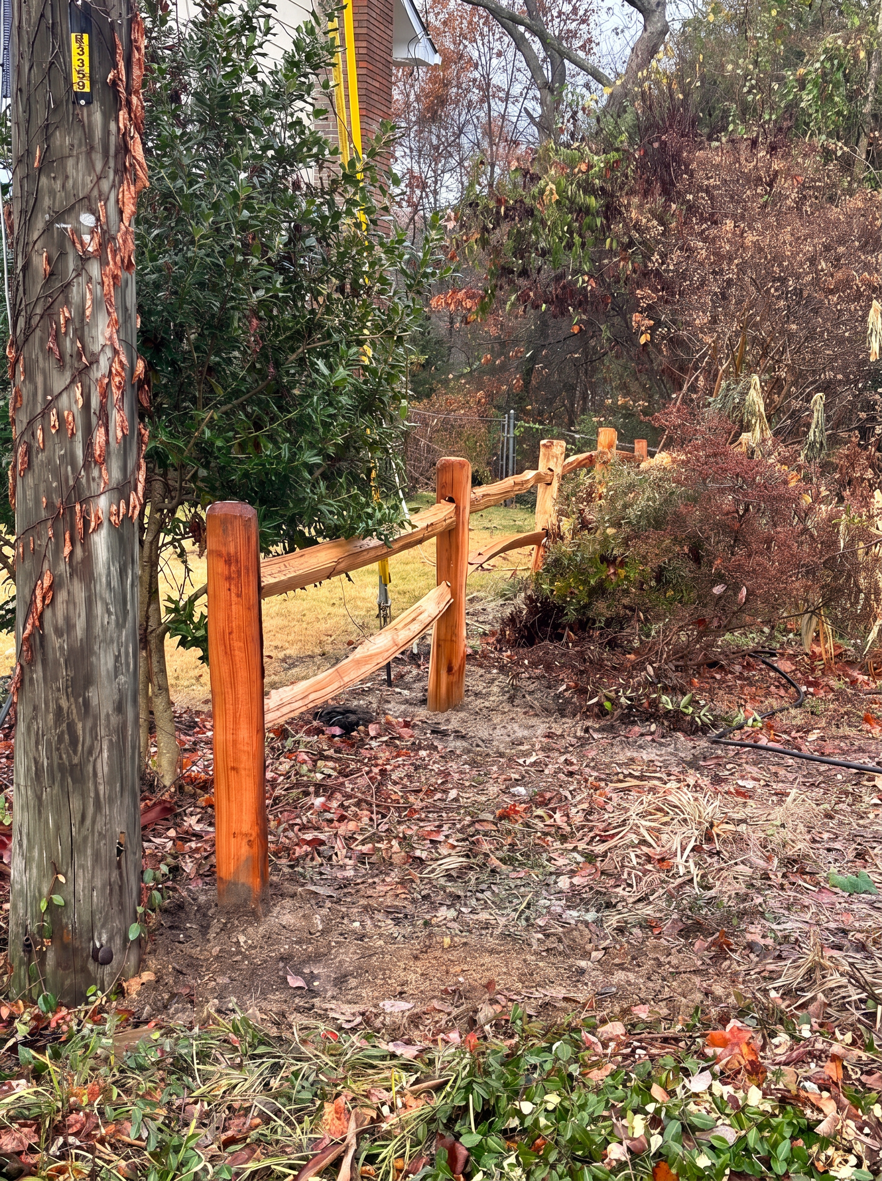 Close view of split rail posts and rails following a wooded property line