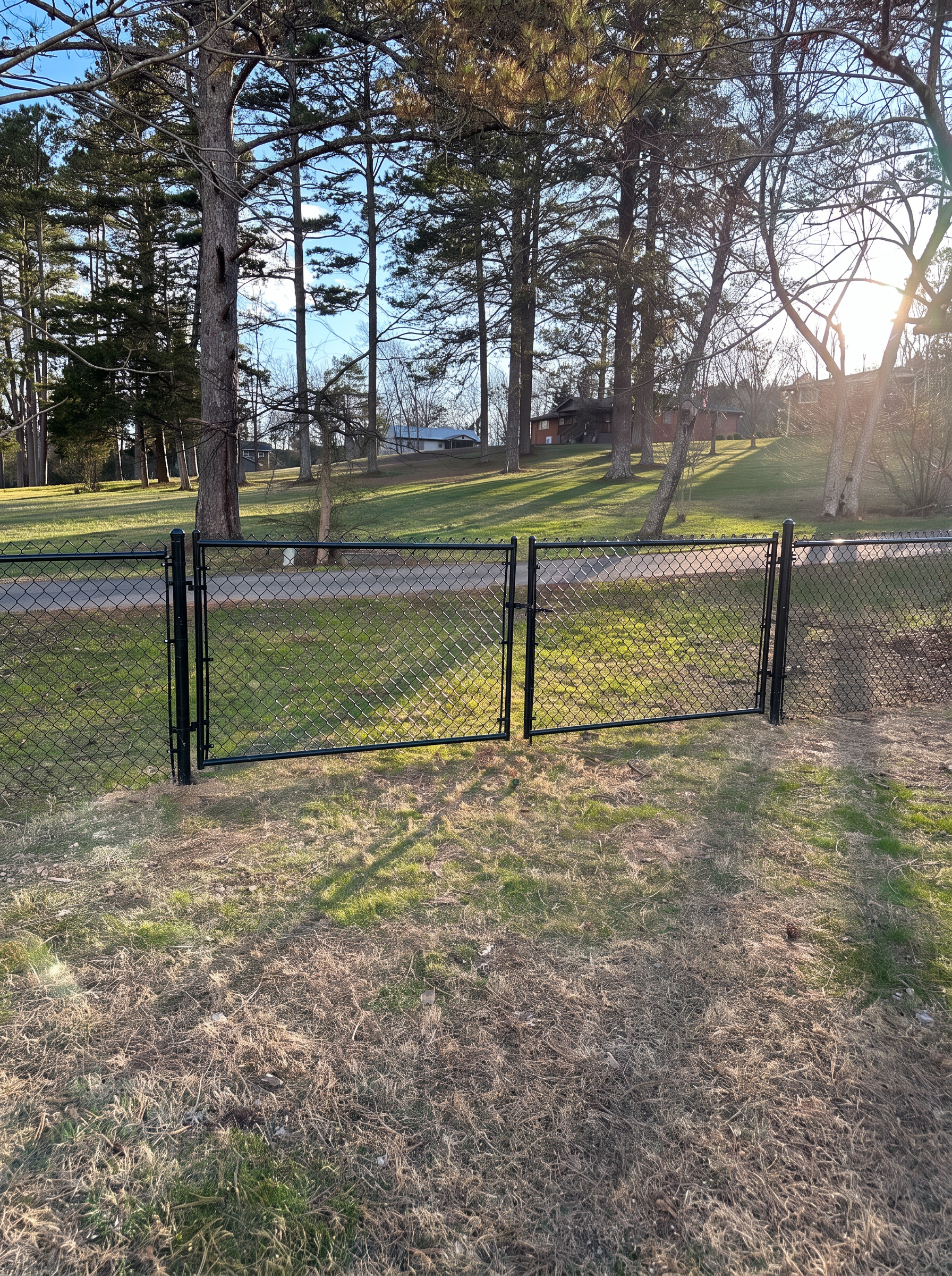 Black chain-link double gate on a grassy slope beneath pine trees