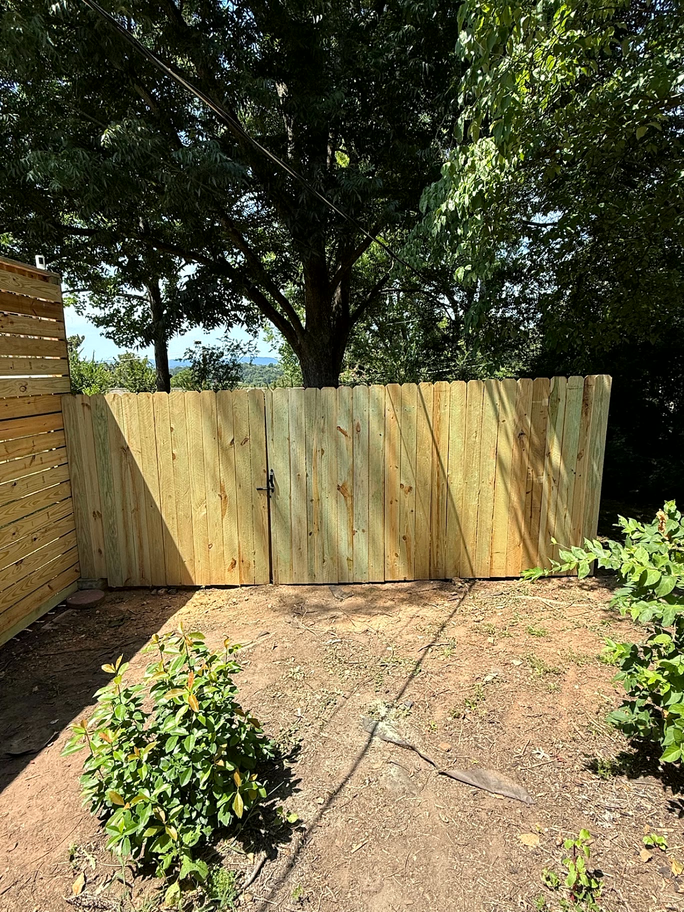 Wood privacy fence with a walk gate and black latch
