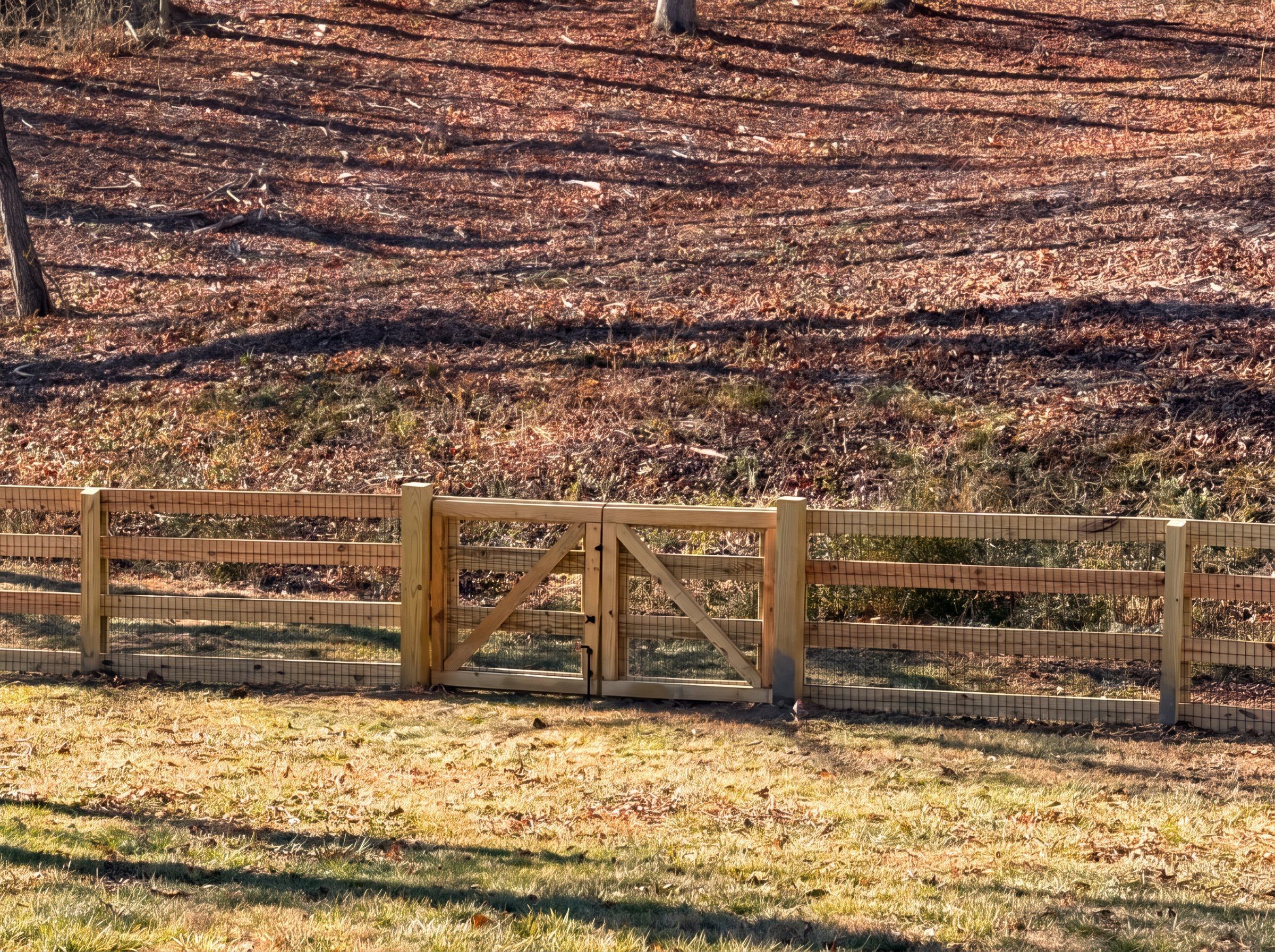 Wood and wire mesh fence with an X-brace gate in a leaf-covered field