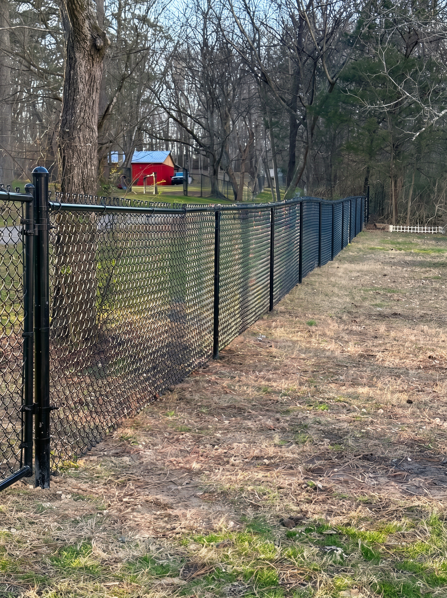 Black chain-link fence following a wooded property line near a red shed