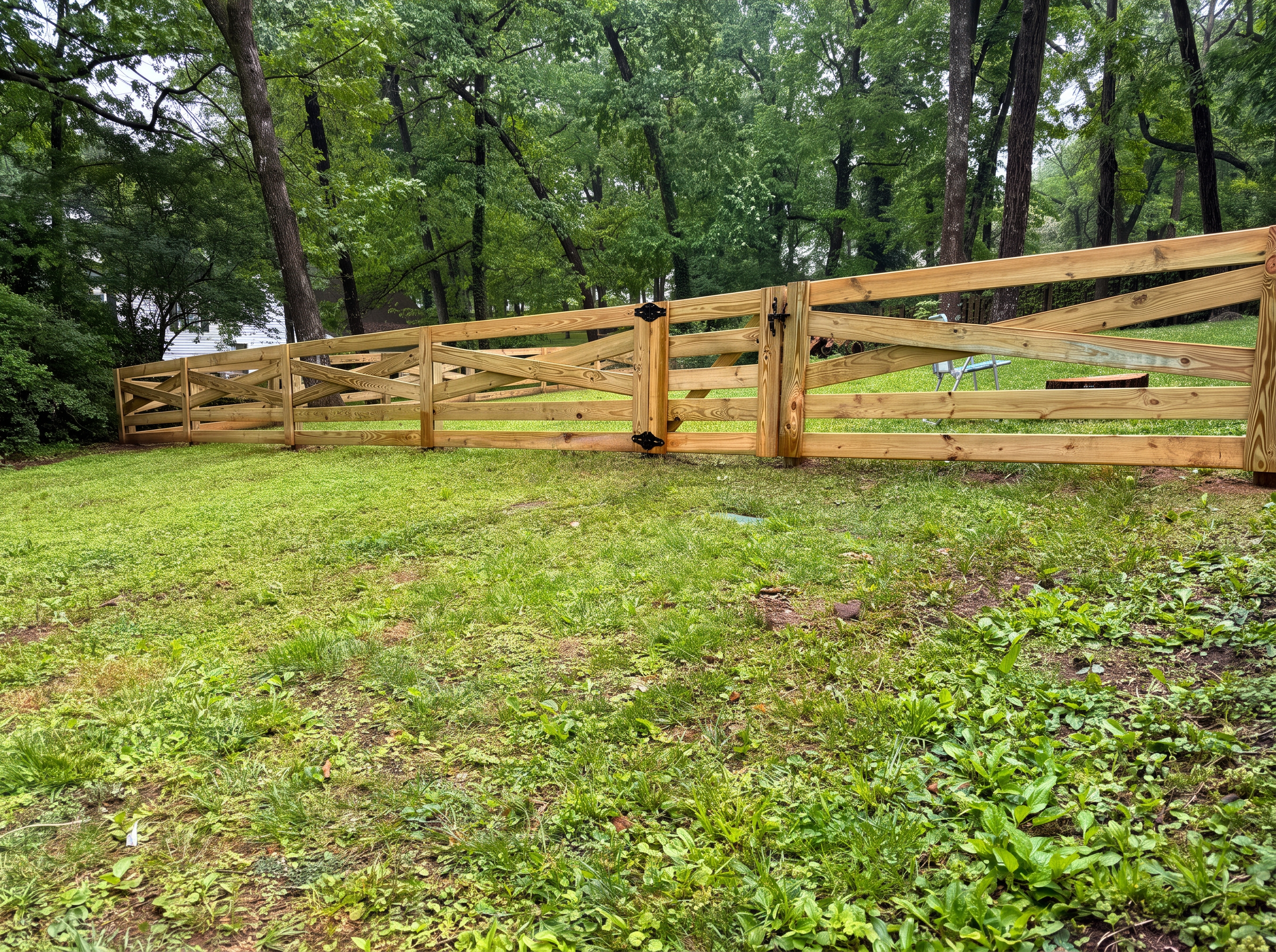 X-brace wood double gate closing a backyard run beneath shade trees