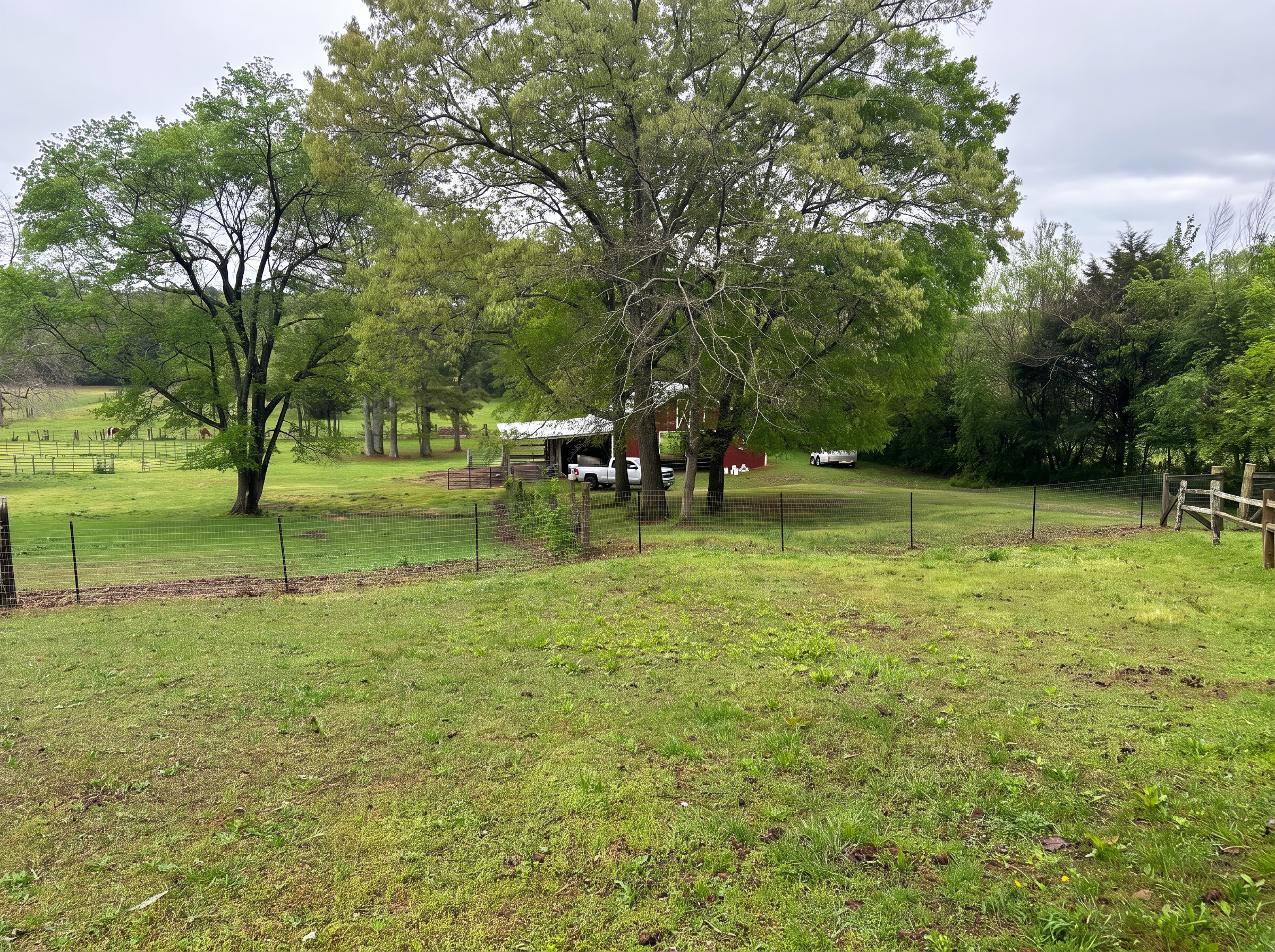 Wire mesh fence running through an open pasture with a barn and trees